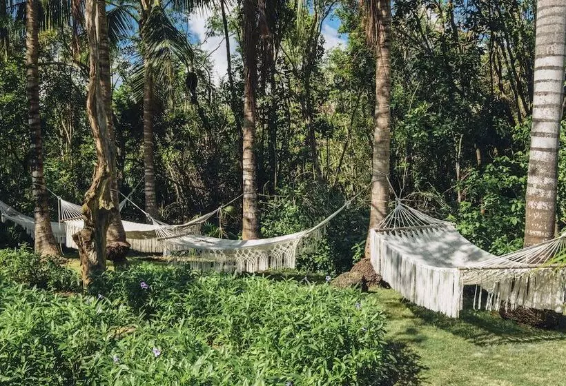 فندق Iberostar Selection Paraíso Lindo