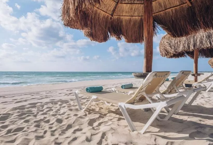 فندق Iberostar Selection Paraíso Lindo