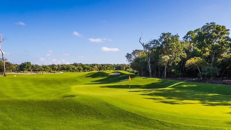 Отель Iberostar Selection Paraíso Lindo