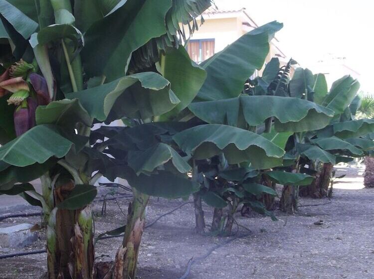 Kefalonitis Hotel Apartments