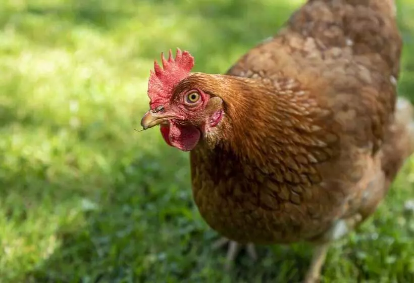 La Casona De Hermosa