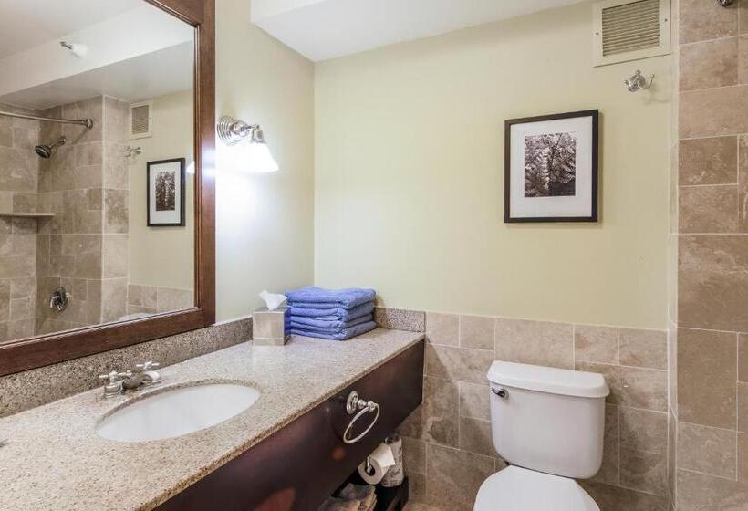 Kauai Beach Resort Room 2309