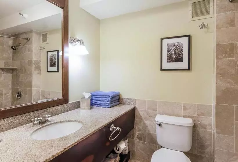 Kauai Beach Resort Room 2309