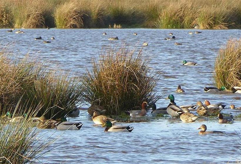 Resort Finse Bungalow 7p, Comfort