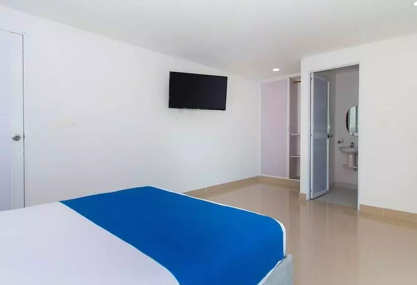 ホテル Playa Norte