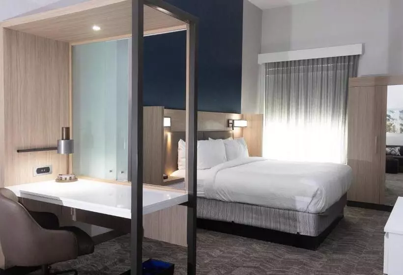 ホテル Springhill Suites By Marriott Slidell