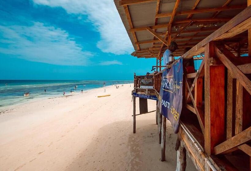 בית מלון כפרי Zenobia Beach Resort