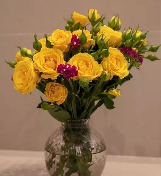 ベッドアンドブレックファースト Bebio Rooms