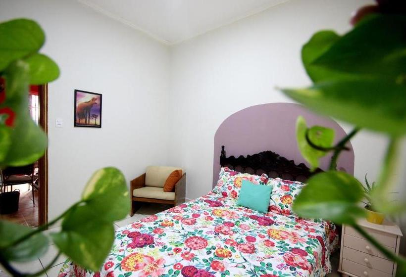 Bed and Breakfast Casa Dos Arcos Hospedaria