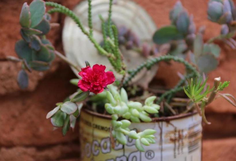 Bed and Breakfast Casa Dos Arcos Hospedaria