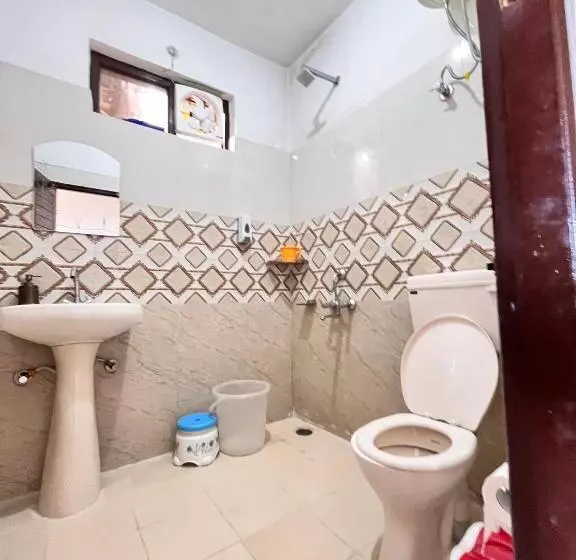 The Hostel Stories Dharamkot   Mcleodganj