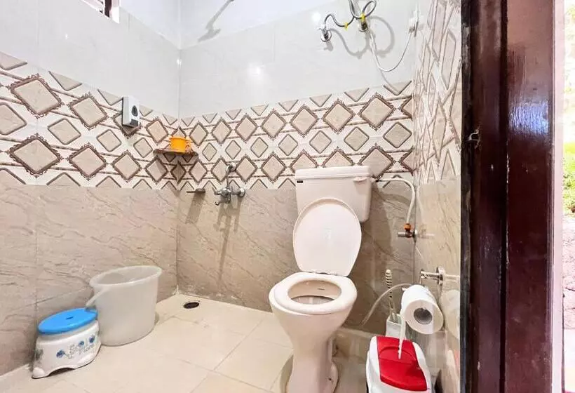 The Hostel Stories Dharamkot   Mcleodganj