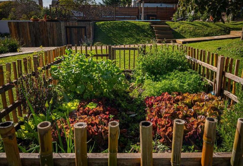 Muelles Del Diablo Tranquilo