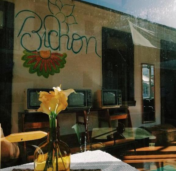 پانسیون Bichon La Casa Hostal