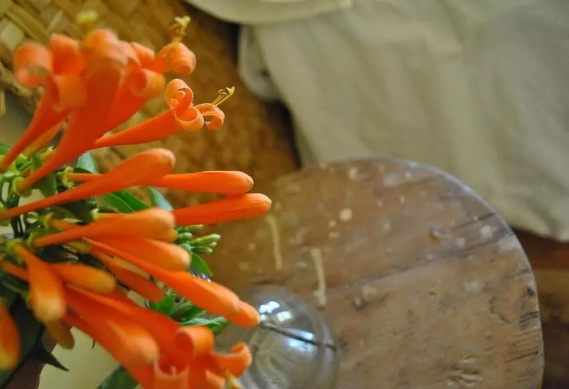 تختخواب و صبحانه Pacheco Farmhouse   Intag Valley