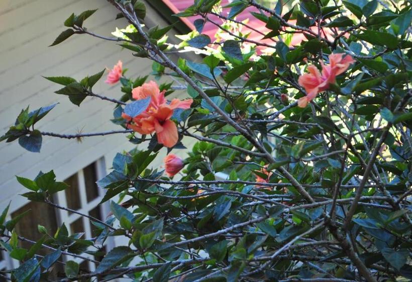 צימר Pacheco Farmhouse Intag Valley