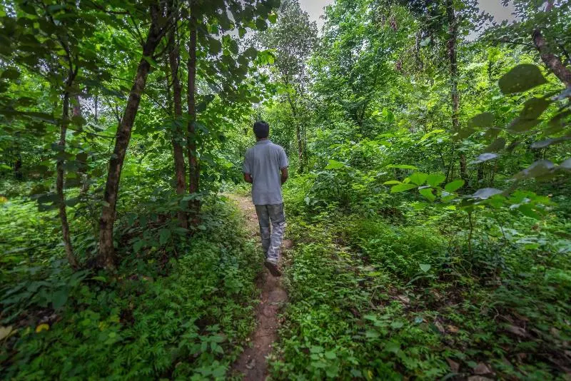Lomakeskus Mahua Vann Pench