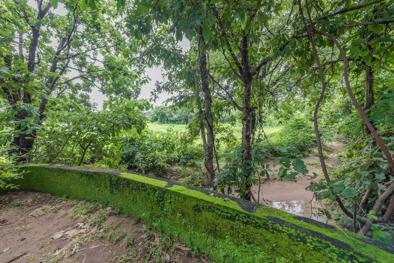 Lomakeskus Mahua Vann Pench