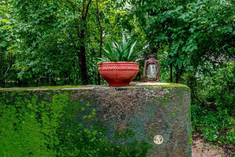 Lomakeskus Mahua Vann Pench