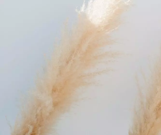 The Olive Boutique Suites And Spa