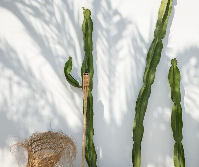 The Olive Boutique Suites And Spa