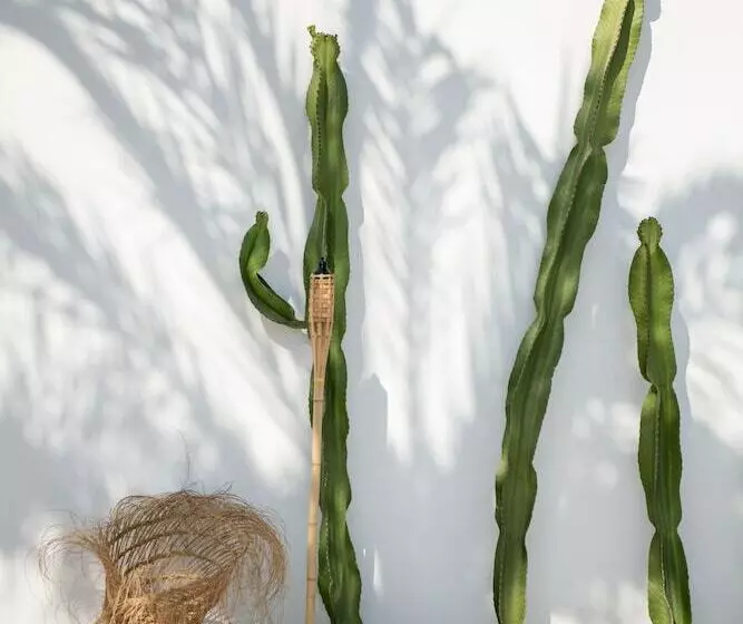 The Olive Boutique Suites And Spa