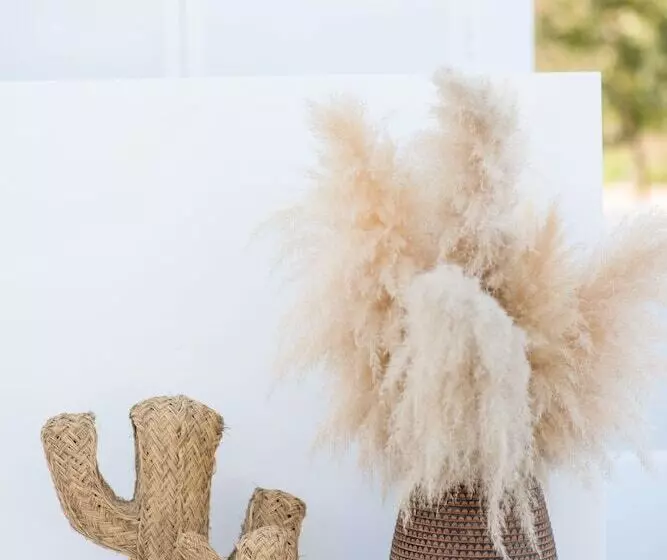 The Olive Boutique Suites And Spa