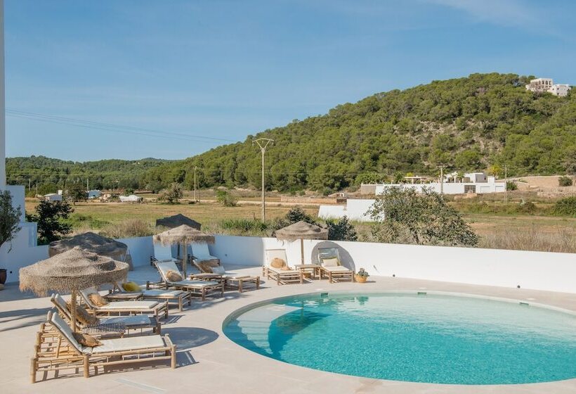 The Olive Boutique Suites And Spa