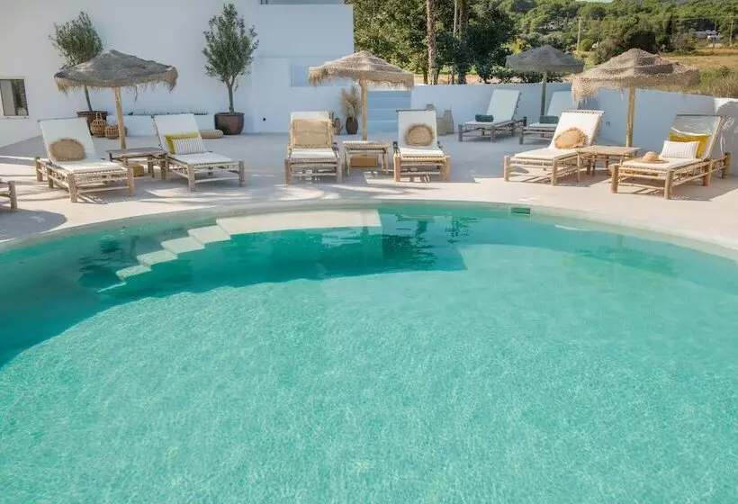 The Olive Boutique Suites And Spa