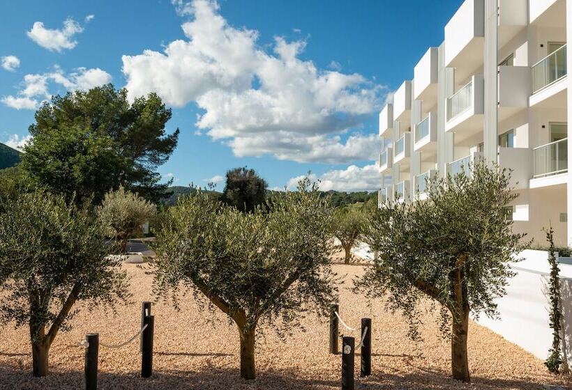 The Olive Boutique Suites And Spa