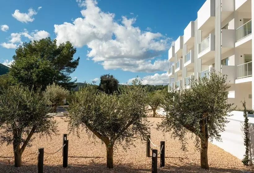 The Olive Boutique Suites And Spa