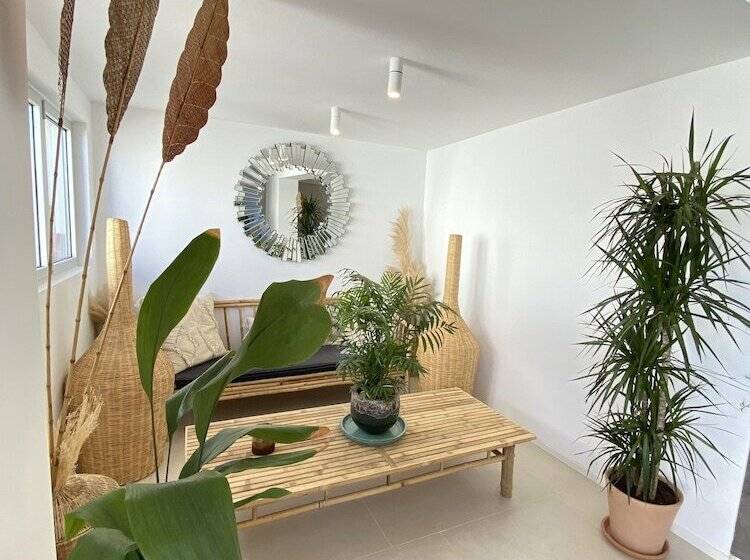 The Olive Boutique Suites And Spa