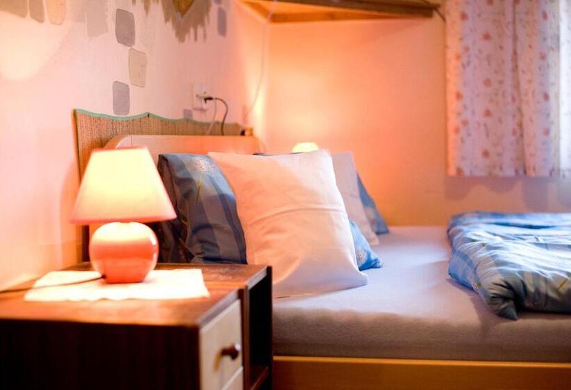 호텔 Borovansky Mlyn