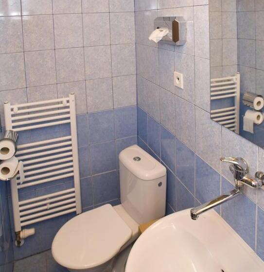 호텔 Borovansky Mlyn