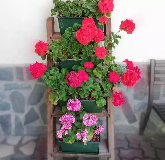 Hotelli Garni Delia