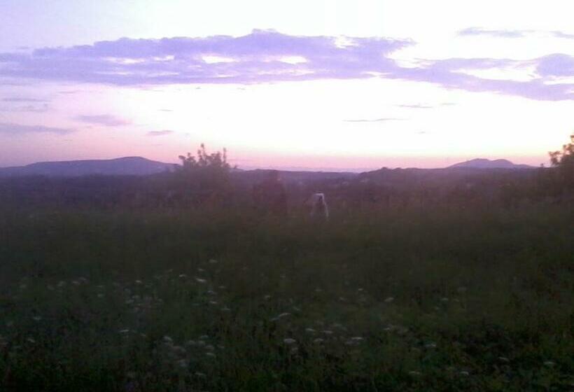 בית מלון כפרי Spezialitätenhof Familie Eichmann