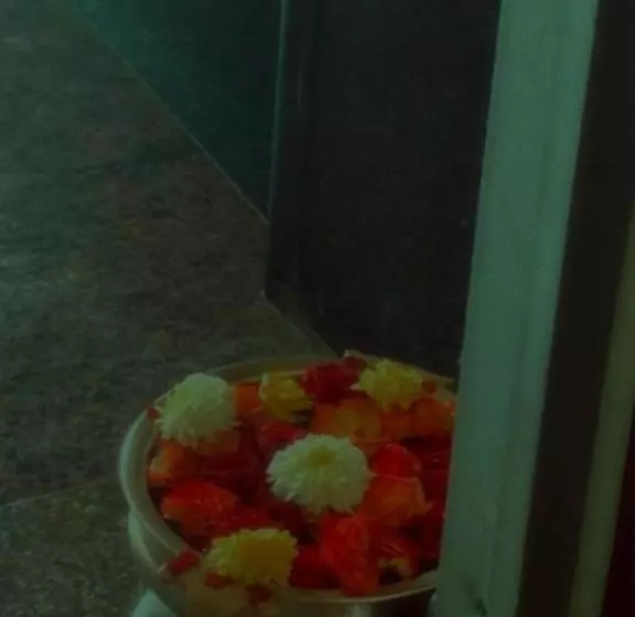 هتل Sri Vally Residency