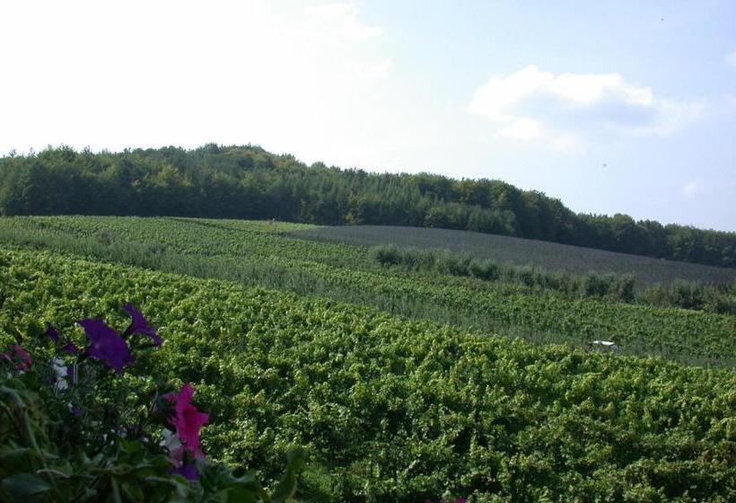 Отель Weinlandhof