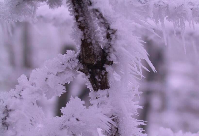 Отель Weinlandhof