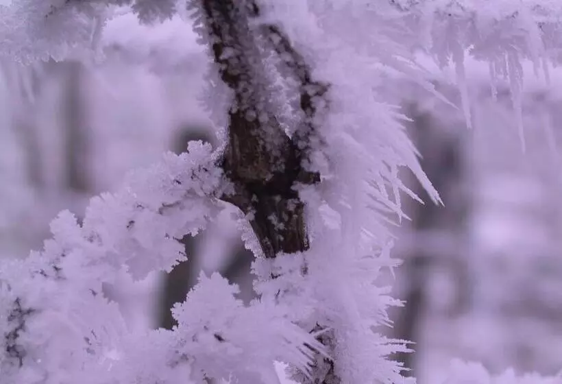 ホテル Weinlandhof