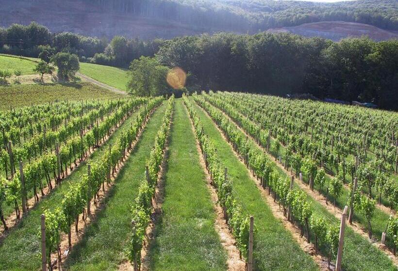 Отель Weinlandhof