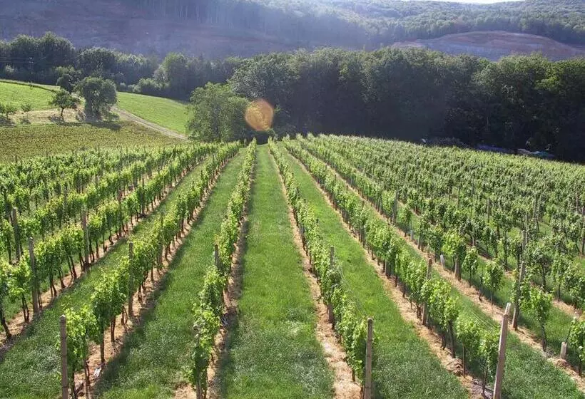 ホテル Weinlandhof