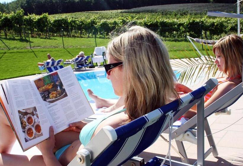 Отель Weinlandhof