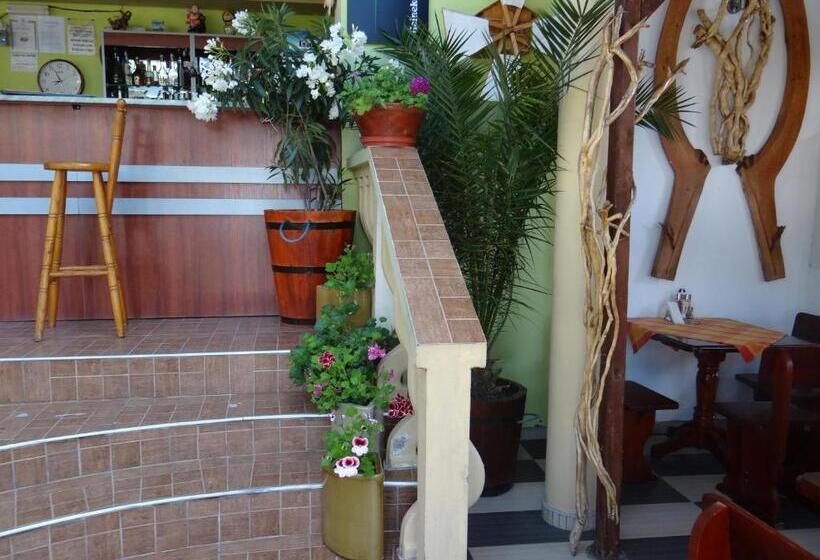 Пансион Guest House Rosa