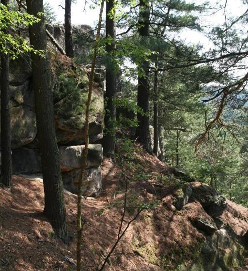 Pension A Restaurant Vesna české švýcarsko