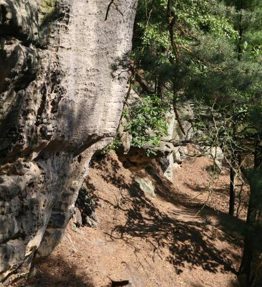 Pension A Restaurant Vesna české švýcarsko