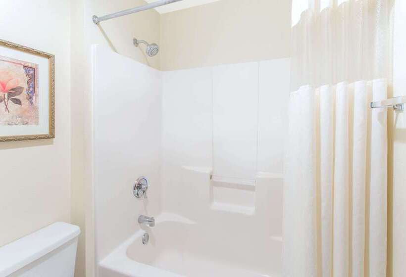 فندق Baymont By Wyndham Davenport