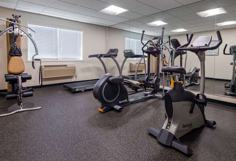 בית מלון כפרי Best Western Plus Newark/christiana Inn