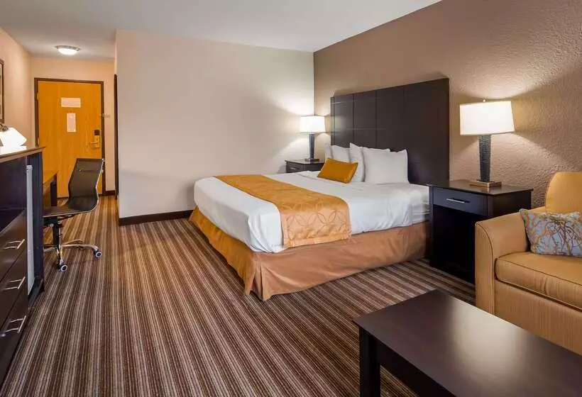 هتل Best Western Plus Newark/christiana Inn