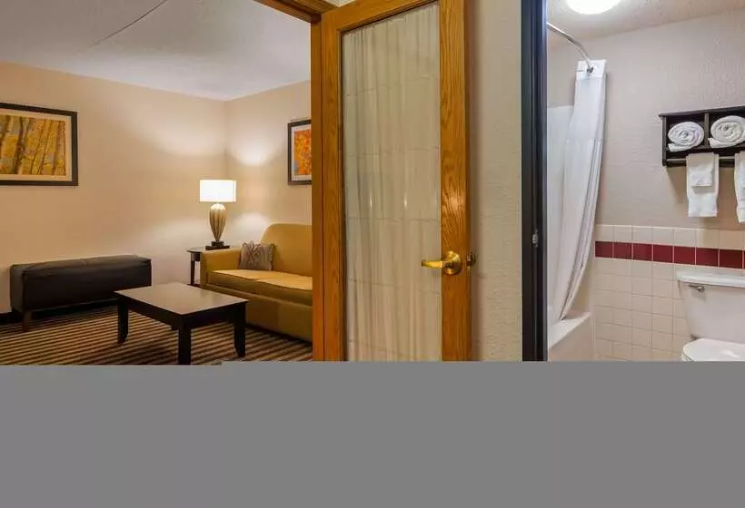 هتل Best Western Plus Newark/christiana Inn